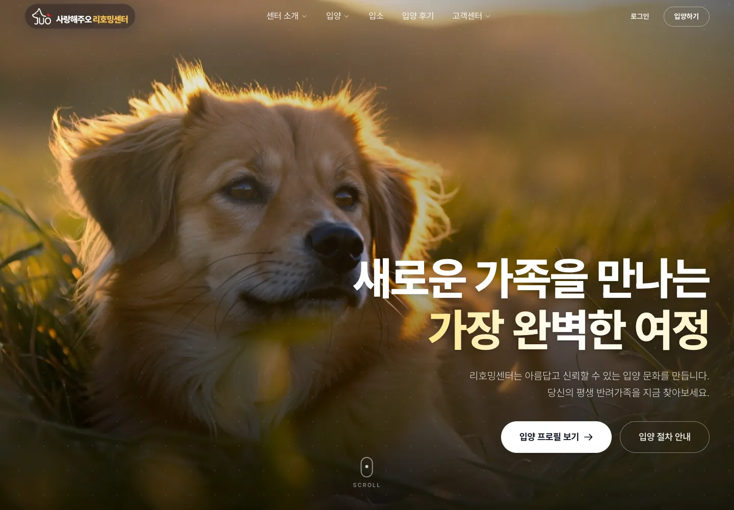 The Rehoming Center website with a full-screen dog photograph, large typography, and adoption links.